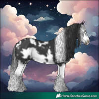Horse Color:White Spotted Black Splash Frame 