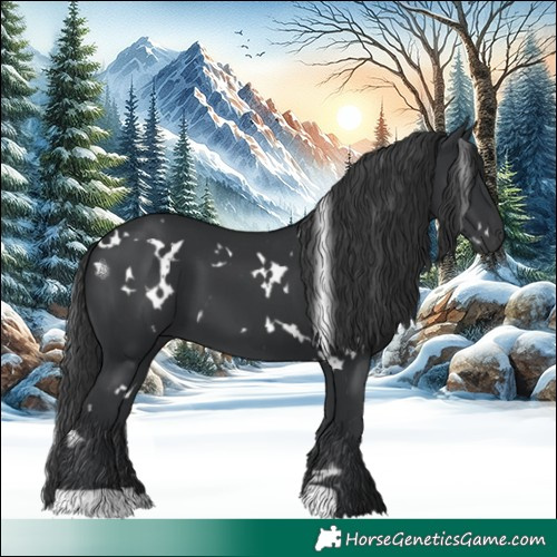 Horse Color:White Spotted Black 