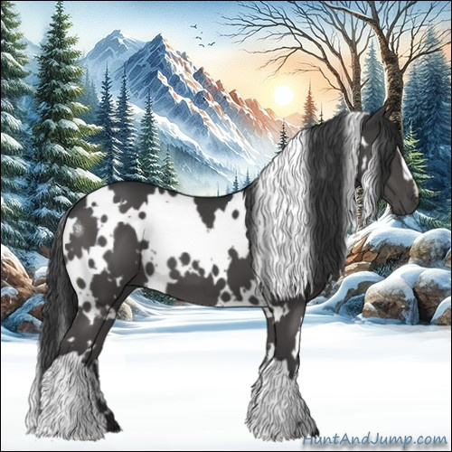 Horse Color:White Spotted Black 