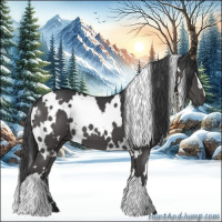Horse Color:White Spotted Black