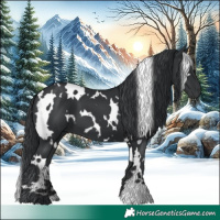 Horse Color:White Spotted Black