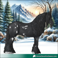 Horse Color:White Spotted Black