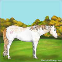 Horse Color:White Spotted Smoky Black Pearl Rabicano