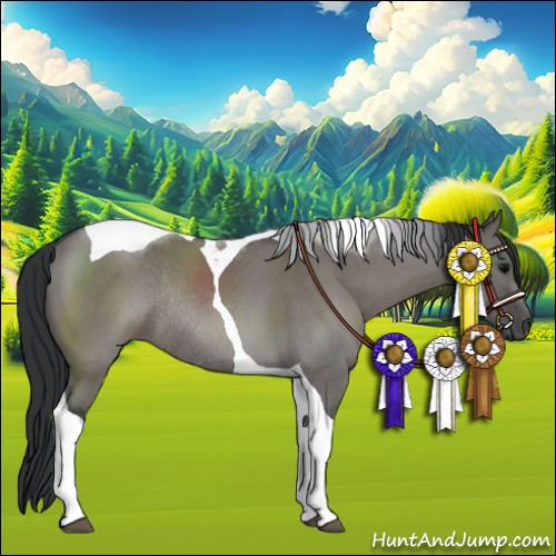 Horse Color:Grullo Roan Tobiano Rabicano 