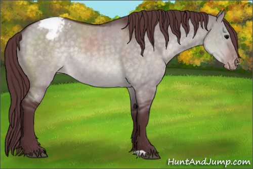 Horse Color:Platinum Chocolate Brown Dun Varnish Rabicano