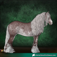 Horse Color:White Spotted Chocolate Silver Brown Chinchilla 