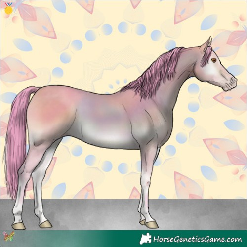Horse Color:Watercolor Sable Cream Champagne Onyx 