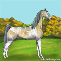 Horse Color:Watercolor White Spotted Brown Onyx Splash  and Watercolor Buckskin Onyx Tobiano 