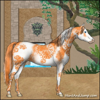 Horse Color:Watercolor White Spotted Liver Chestnut Splash 