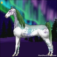 Horse Color:Watercolor Sable Champagne Splash 