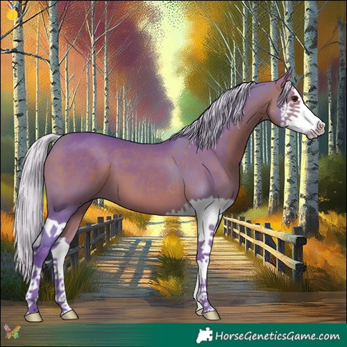 Horse Color:Watercolor Silver Bay Splash