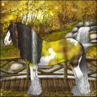 Horse Color:Plaid Brown Splash Tobiano