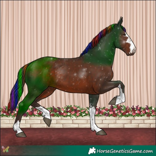 Horse Color:Painted Liver Chestnut