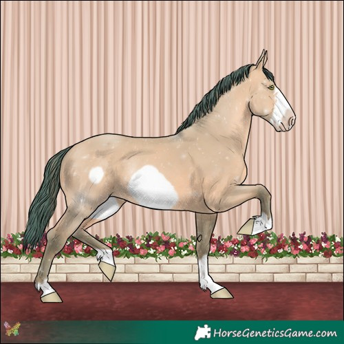 Horse Color:Watercolor Amber Champagne Dun Frame Rabicano