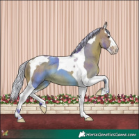 Horse Color:Watercolor Silver Bay Splash Tobiano 