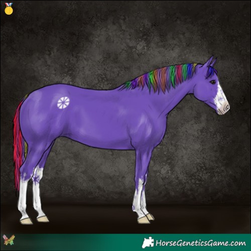 Horse Color:Painted Watercolor White Spotted Black 