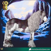 Horse Color:Watercolor Midnight Silver Sable Cream Champagne Splash