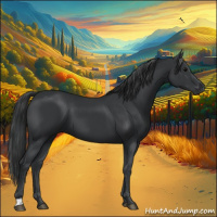 Horse Color:Black 