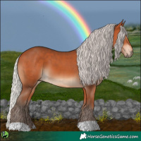 Horse Color:Silver Bay 