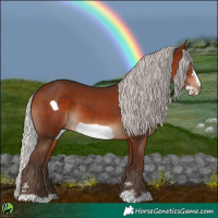 Horse Color:Silver Bay Frame