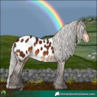 Horse Color:Silver Brown Appaloosa 
