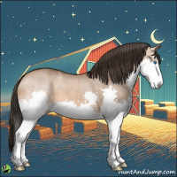 Horse Color:Bay Dun Splash 