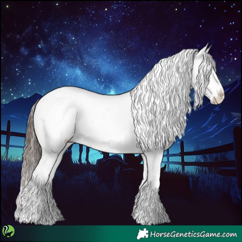 Horse Color:Brown Appaloosa