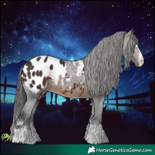 Horse Color:Brown Blanket