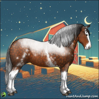 Horse Color:White Spotted Buckskin Splash 
