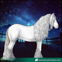 Horse Color:White Spotted Chocolate Palomino Tobiano Appaloosa 
