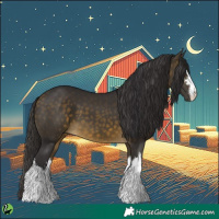 Horse Color:White Spotted Buckskin 