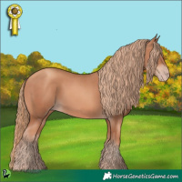 Horse Color:Gold Champagne