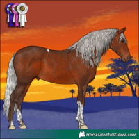 Horse Color:Silver Bay Tobiano