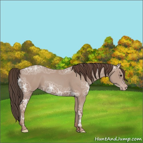 Horse Color:Classic Champagne Ice