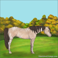 Horse Color:Amber Champagne Ice 
