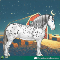 Horse Color:White Spotted Smoky Black Splash Near Leopard 