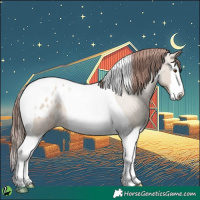 Horse Color:Classic Champagne Dun Splash Tobiano Appaloosa 