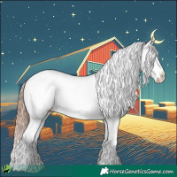 Horse Color:Gold Champagne Appaloosa 