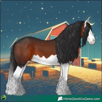 Horse Color:Brown Splash