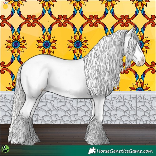 Horse Color:Silver Brown Dun Appaloosa 