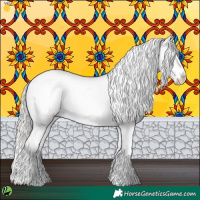 Horse Color:Silver Brown Dun Appaloosa