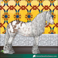 Horse Color:Silver Brown Dun Appaloosa