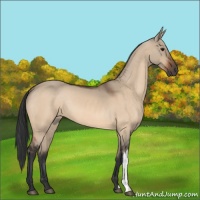 Horse Color:Brown Dun 