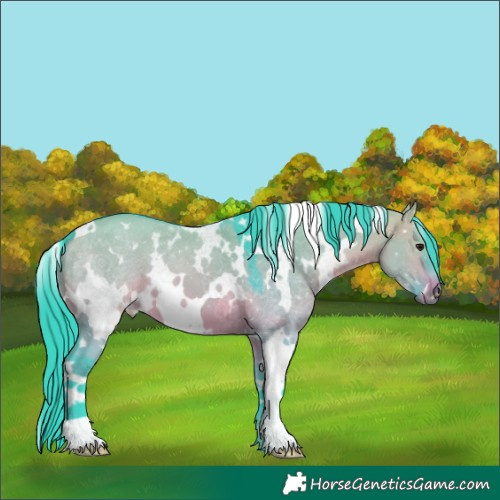 Horse Color:Watercolor White Spotted Brown Dun 