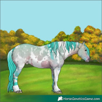 Horse Color:Watercolor White Spotted Brown Dun 