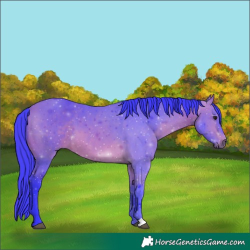 Horse Color:Watercolor Bay 