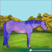 Horse Color:Watercolor Bay 