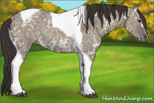 Horse Color:Smoky Grullo Ice Tobiano Rabicano 