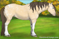 Horse Color:Amber Cream Champagne Ice Tobiano 
