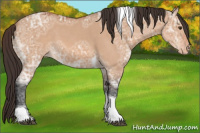 Horse Color:Bay Ice Dun Tobiano Varnish 